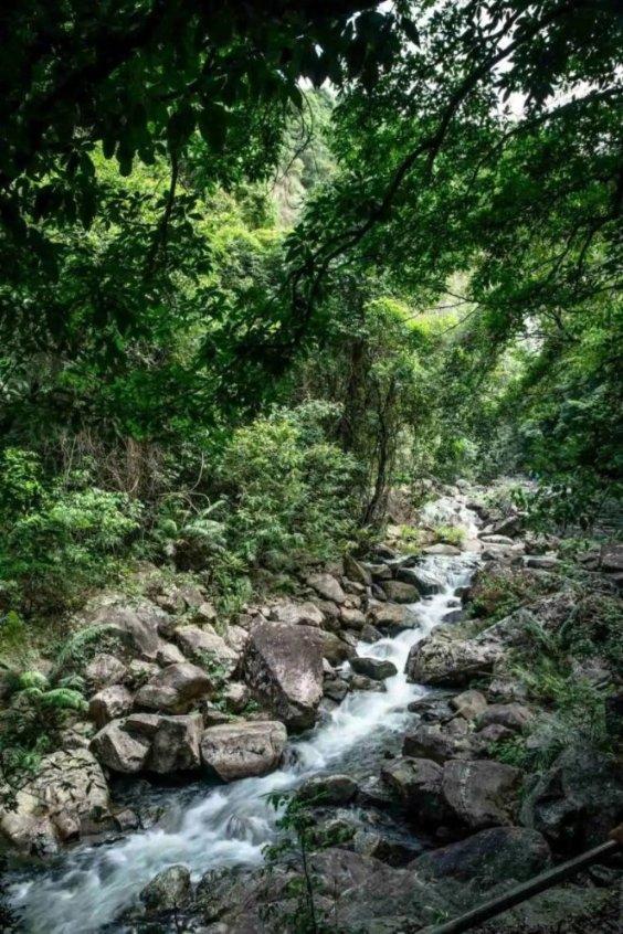 未知的岛屿